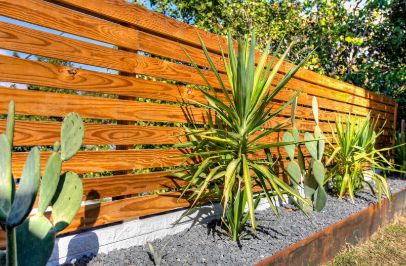 horizontal wood fence with plants around