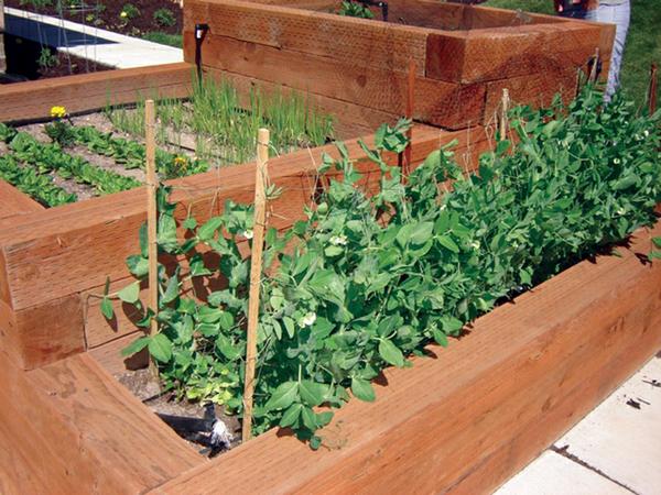 Raised bed