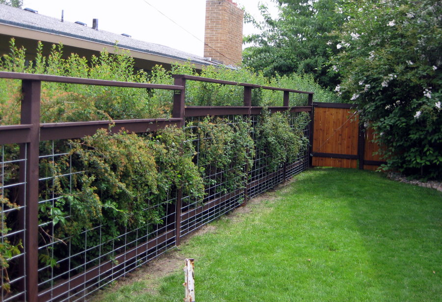 Садовая ограда из сетки на каркасе из профиля