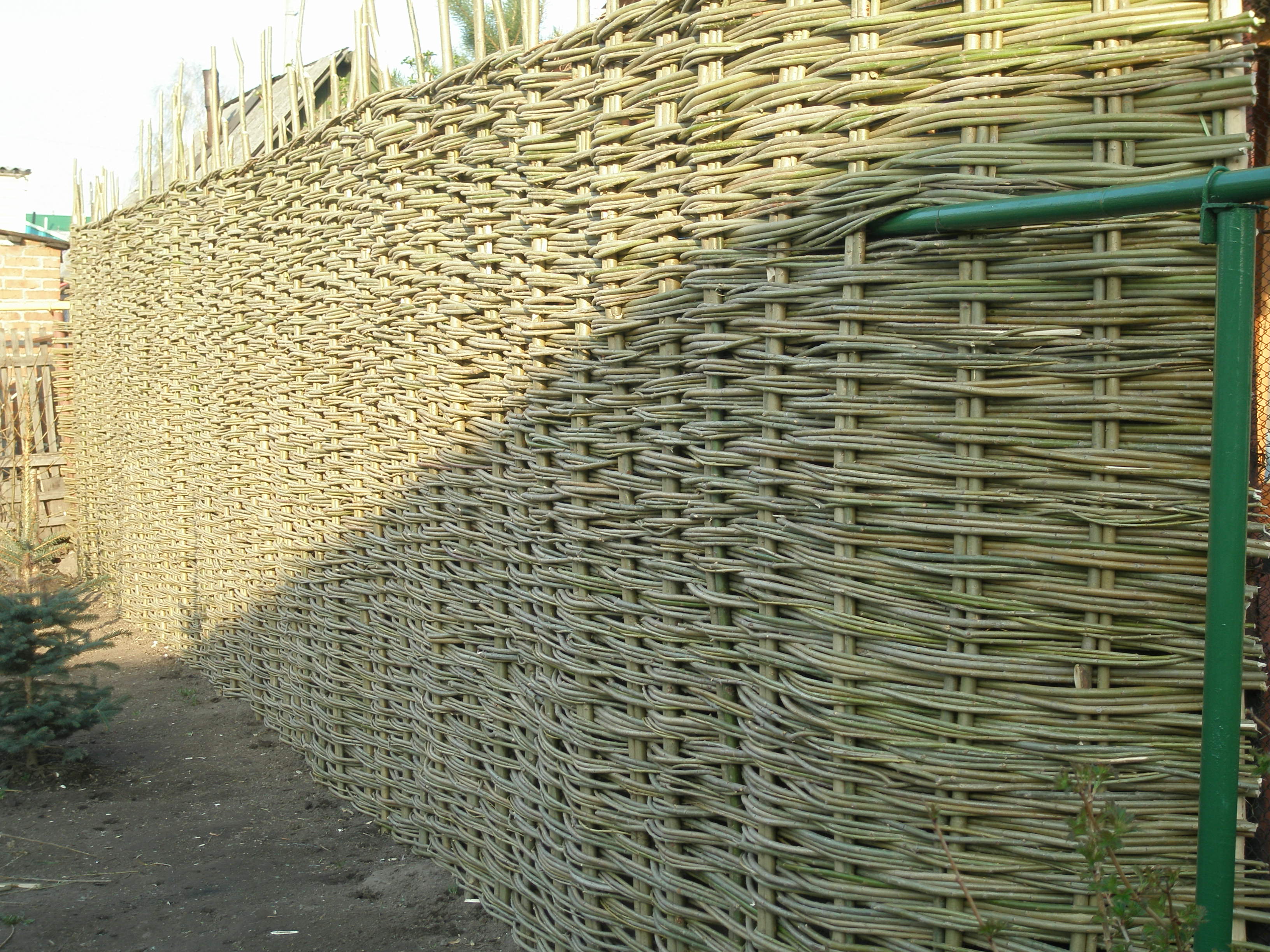 Высокий забор-плетень