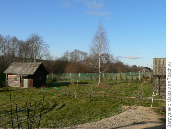 Весна 2011