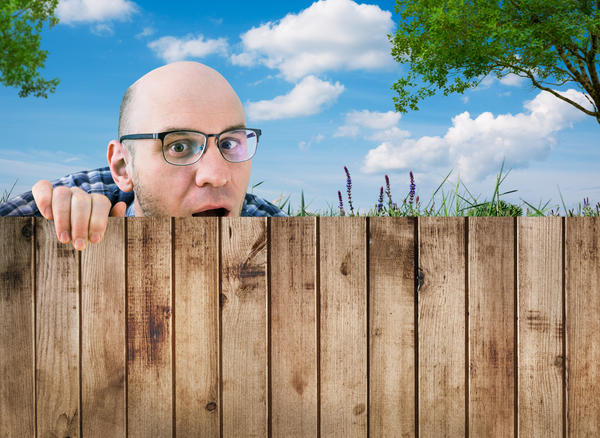 Забор защитит от любопытных соседей