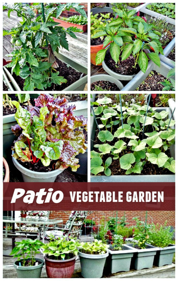 Patio Vegetable Garden