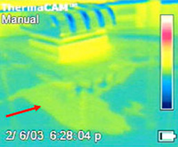 Photo 12 of infrared thermography photo